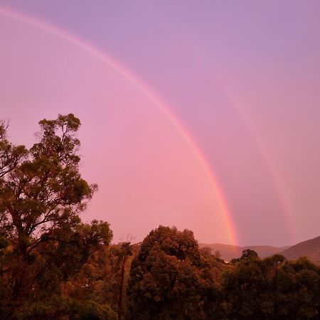 Rosebank Guesthouse Healesville Exterior foto